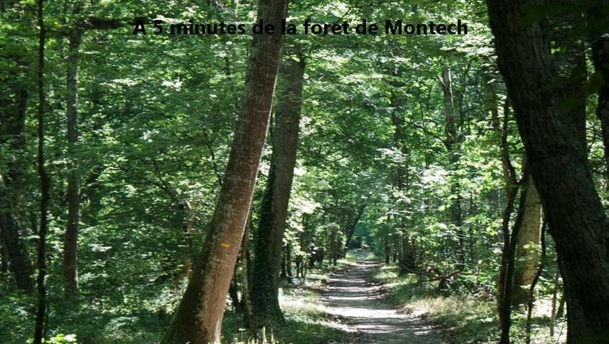 布雷索勒L Ostalet Tarn Et Garonne别墅 外观 照片
